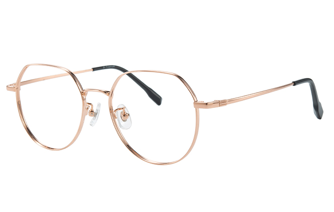 100379 Geometric Titanium Eyeglasses