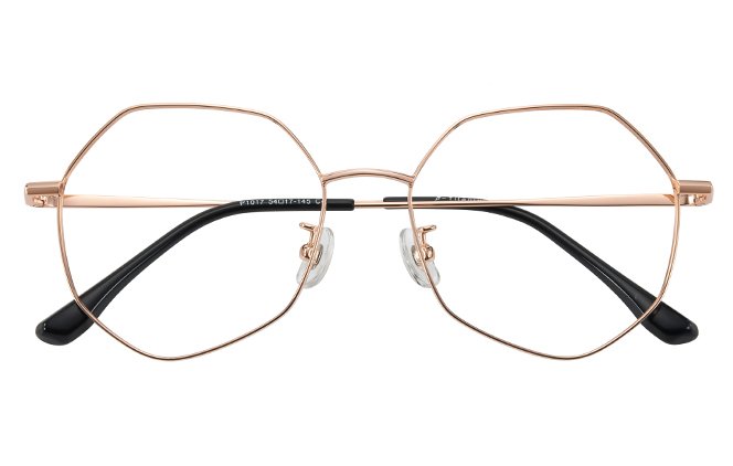 100380 Geometric Titanium Eyeglasses