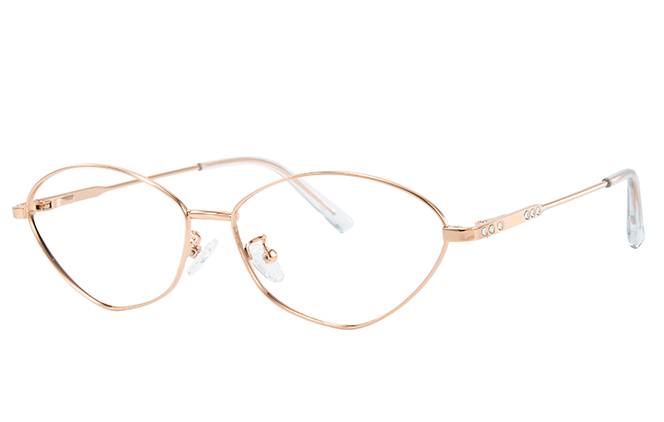 100395 Geometric Spring Hinge Eyeglasses