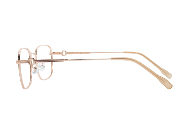 100403 Rectangle Eyeglasses