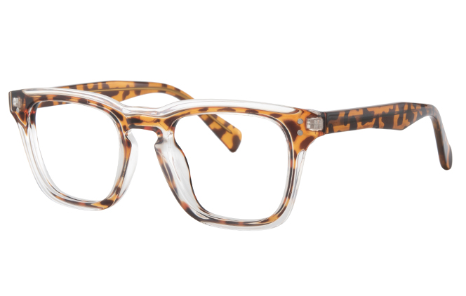 

200850 Rectangle Spring Hinge Eyeglasses, Tortoiseshell