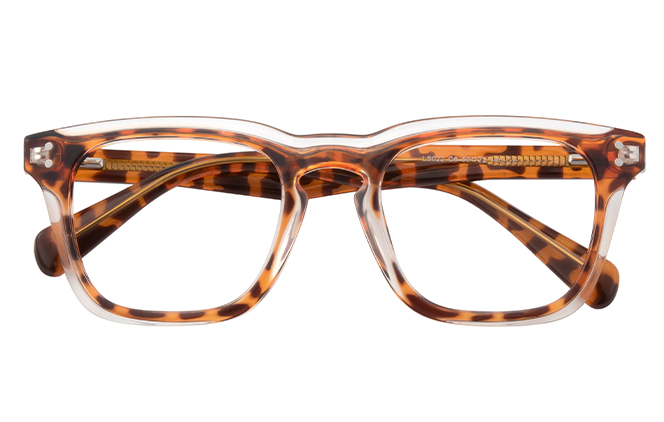 200850 Rectangle Spring Hinge Eyeglasses 