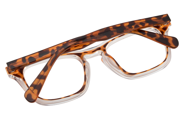 200850 Rectangle Spring Hinge Eyeglasses 