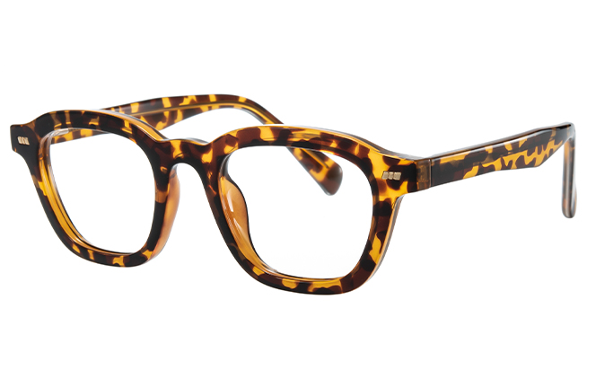 200856 Square Spring Hinge Eyeglasses 