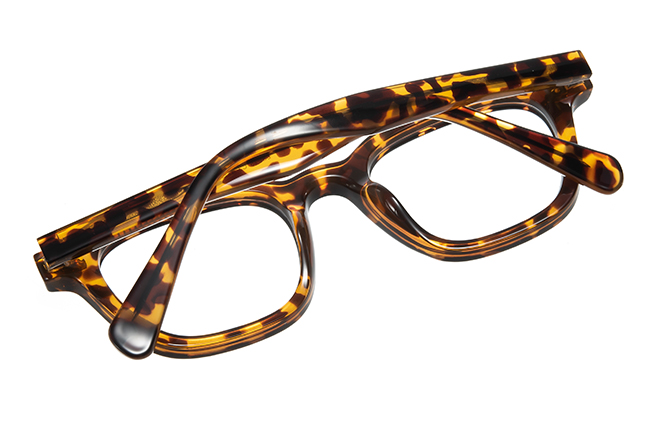 200856 Square Spring Hinge Eyeglasses 
