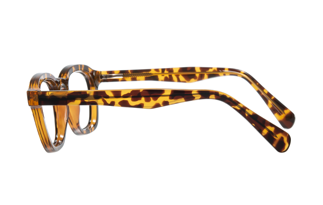 200856 Square Spring Hinge Eyeglasses 