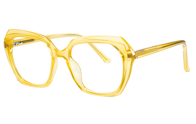 200868 Square Spring Hinge Eyeglasses 