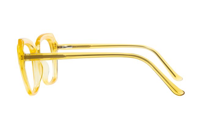 200868 Square Spring Hinge Eyeglasses 