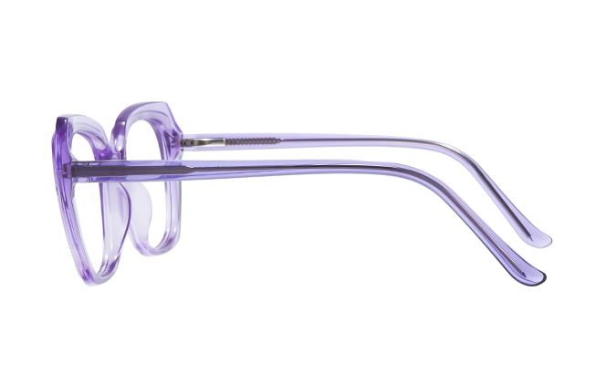 200868 Square Spring Hinge Eyeglasses 