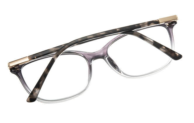 200879 Rectangle Spring Hinge Eyeglasses 