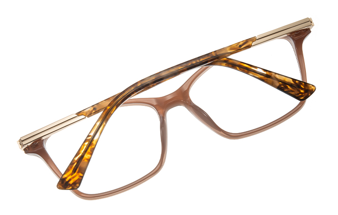 200880 Rectangle Spring Hinge Eyeglasses 