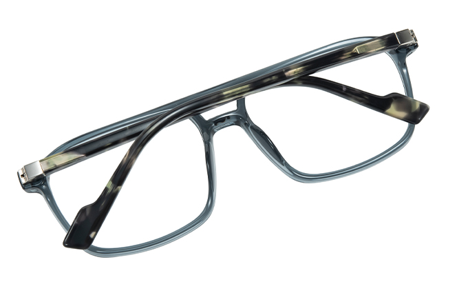 200900 Aviator Spring Hinge Eyeglasses