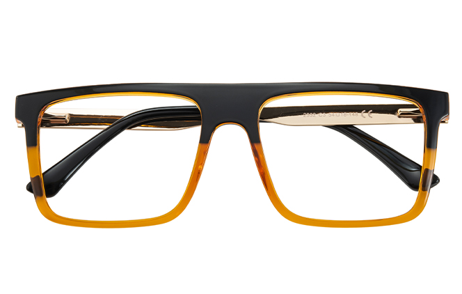 200976 Aviator Spring Hinge Eyeglasses